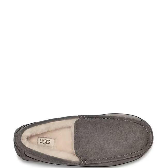 Upper view of UGG Men&