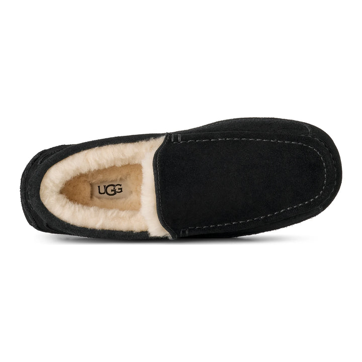 UGG Men&
