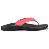HotPink/black