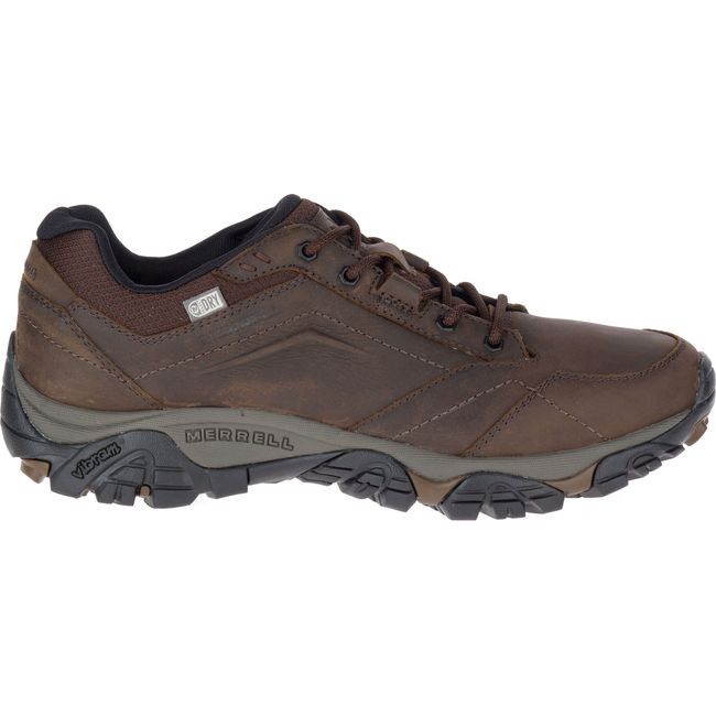 Merrell Men's Moab Adventure Waterproof Hiking Shoe Brown J91825