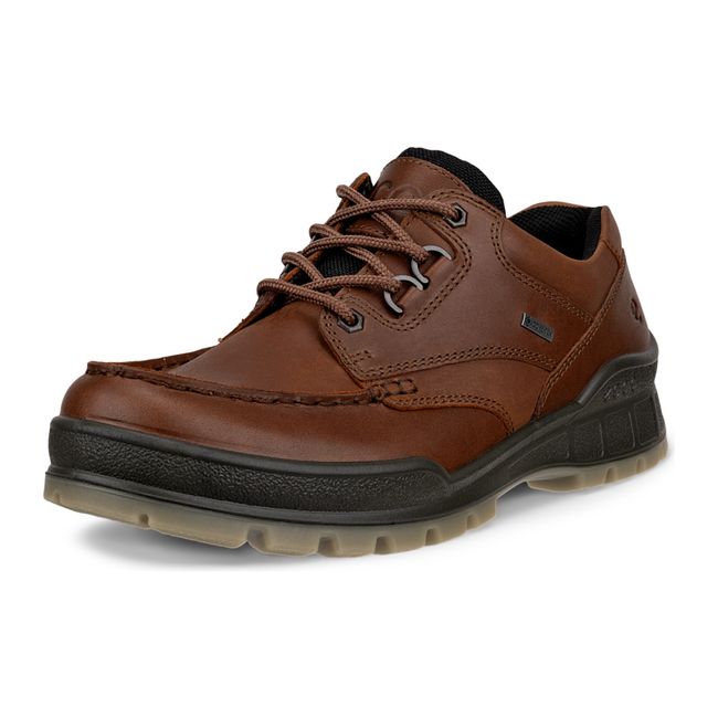 Front angled view of ECCO Men's Track 25 Low Waterproof Shoes in bison