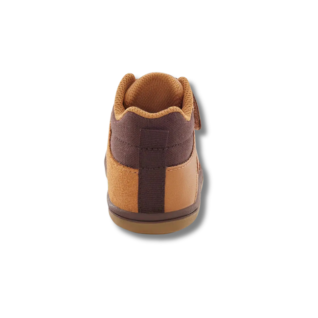 Heel of Stride Rite Kid's Ames High Top Sneaker in Honey Tan