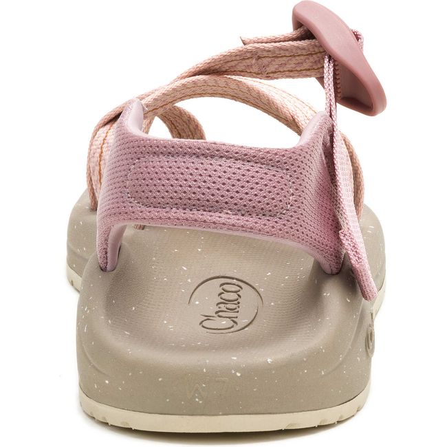 Heel of Women's Chaco Cushz T-Loop Extra Cushioned Sandal in Frond Pink Salt with heel strap