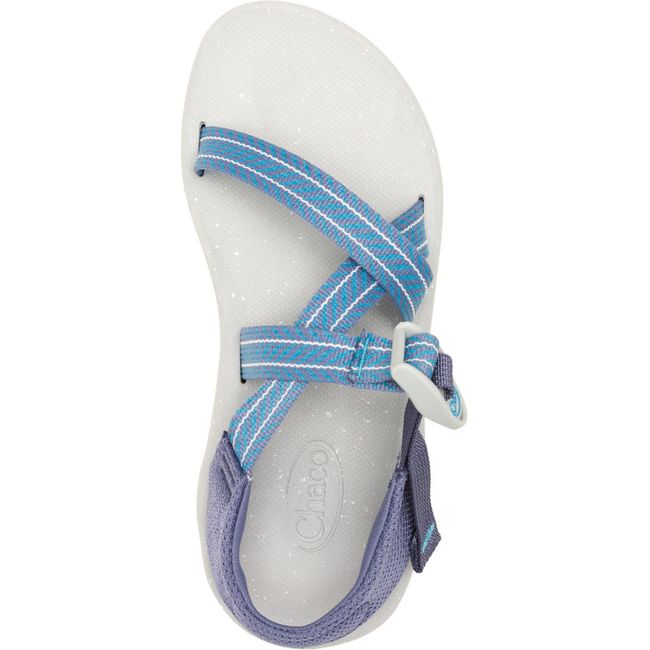 Top down view of Women&#39;s Chaco CushZ Extra Cushioned Sandal in Frond Pacific Blue