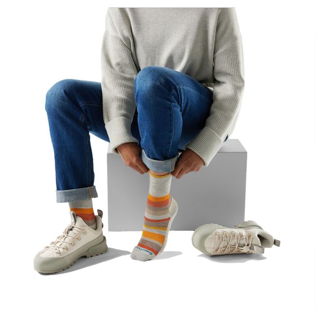 Smartwool Unisex Everyday Multi-Stripe Light Cushion Crew Sock