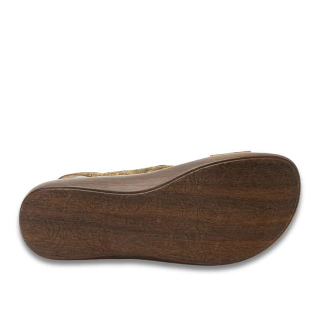 Brown sole of Alegria Women's Bailee Sandals in Folkie Brown