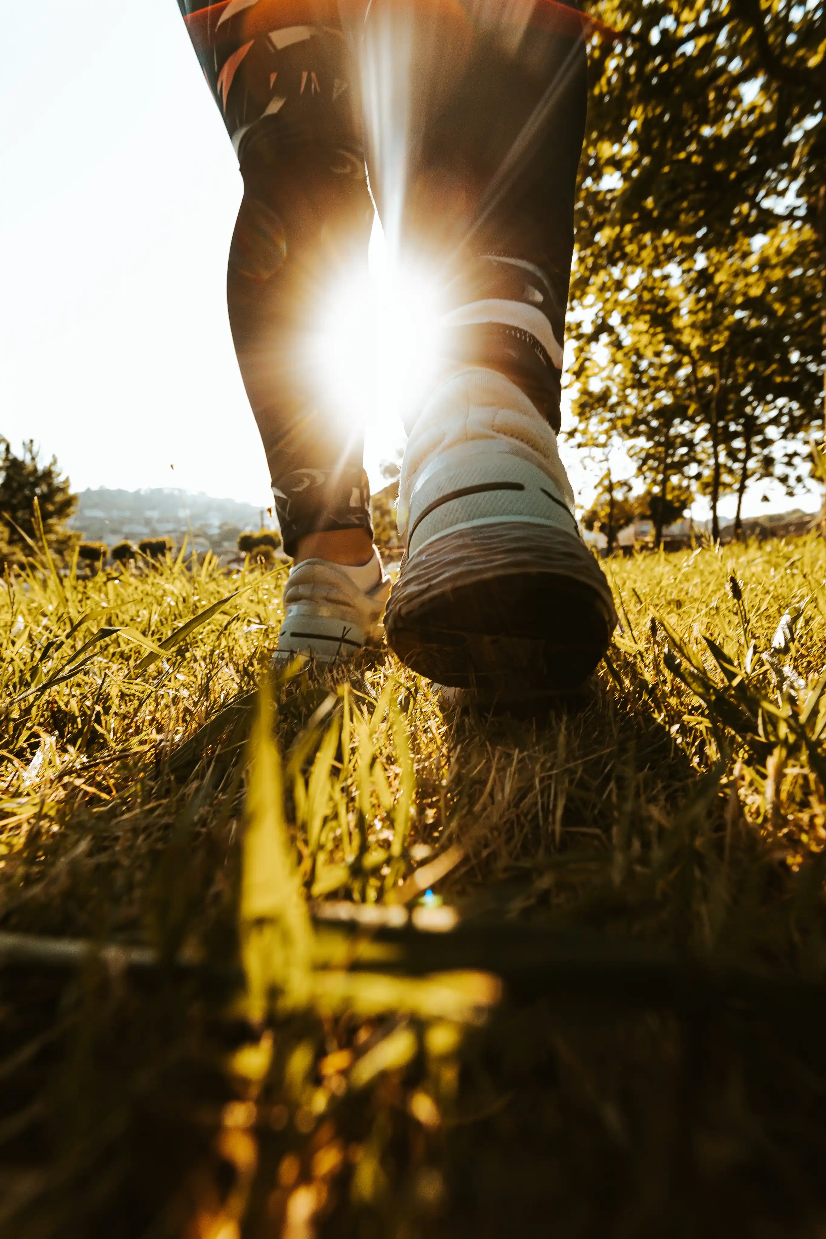  Person walking through a grassy field at sunrise, shown from a low angle with bright sunlight shining between their legs