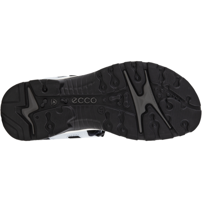  ECCO FOOTWEAR Roderer Shoe Center