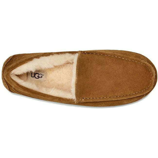 UGG Men&