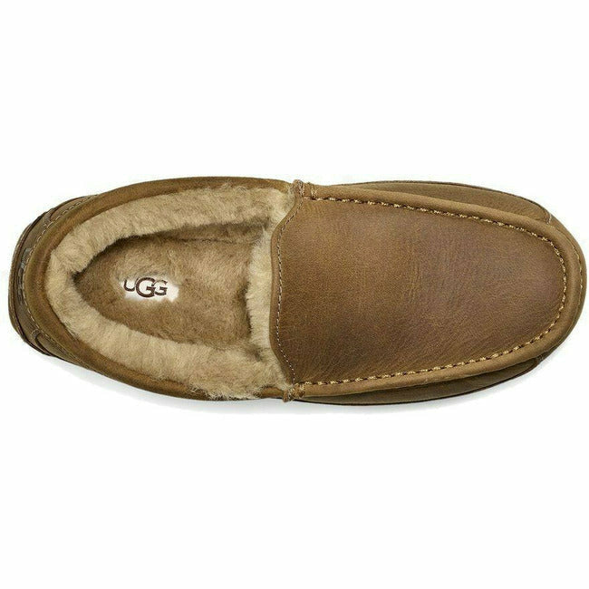 UGG Men&