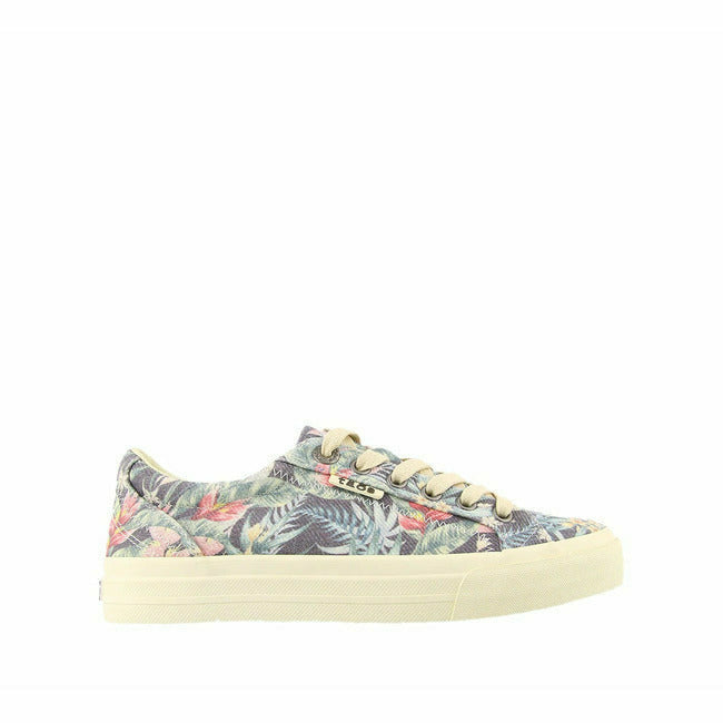 Taos Footwear Plim Soul Canvas Platform Sneakers