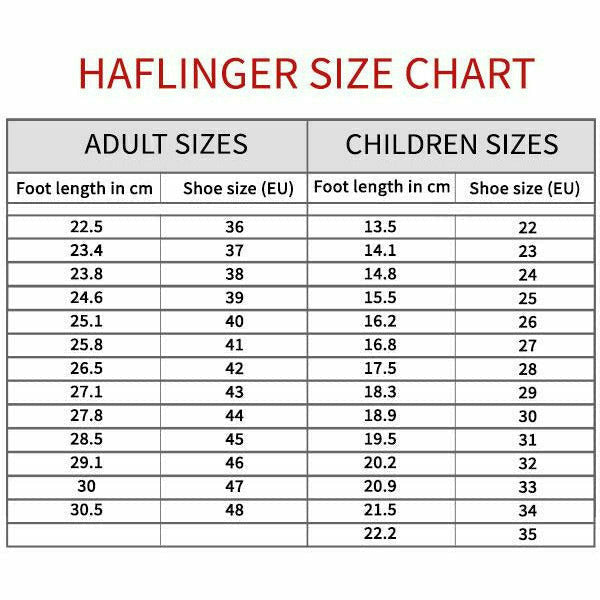 Haflinger Unisex Zig Zag Arch Support Wool Clog Blue HAFLINGER FOOTWEAR Roderer Shoe Center
