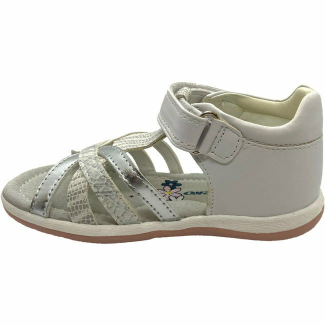  BEEKO FOOTWEAR Roderer Shoe Center