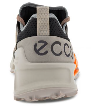 oppakken Onweersbui kruipen ECCO Men's Biom 2.1 X Country Hiking Shoe