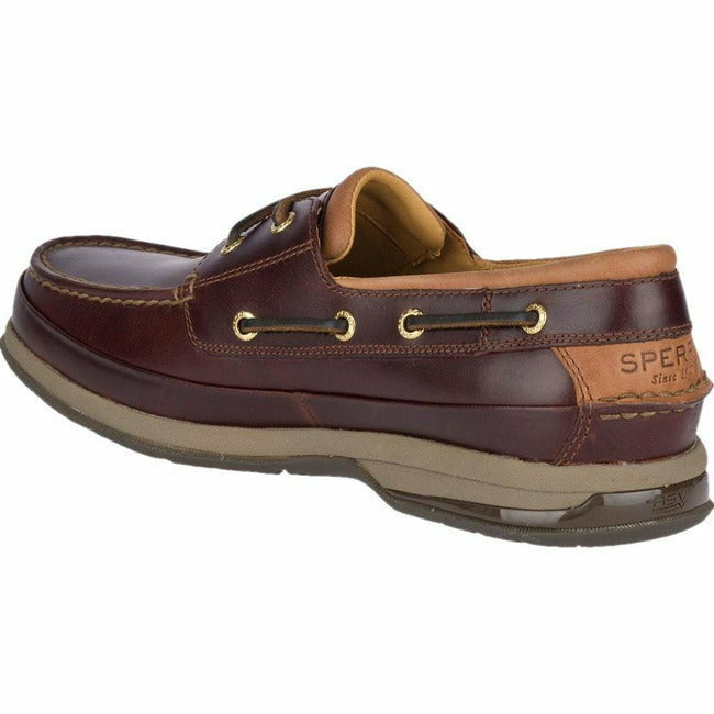  SPERRY FOOTWEAR Roderer Shoe Center