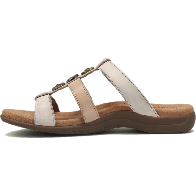  TAOS FOOTWEAR Roderer Shoe Center