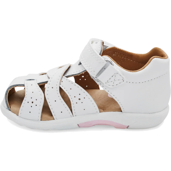  STRIDE RITE FOOTWEAR Roderer Shoe Center